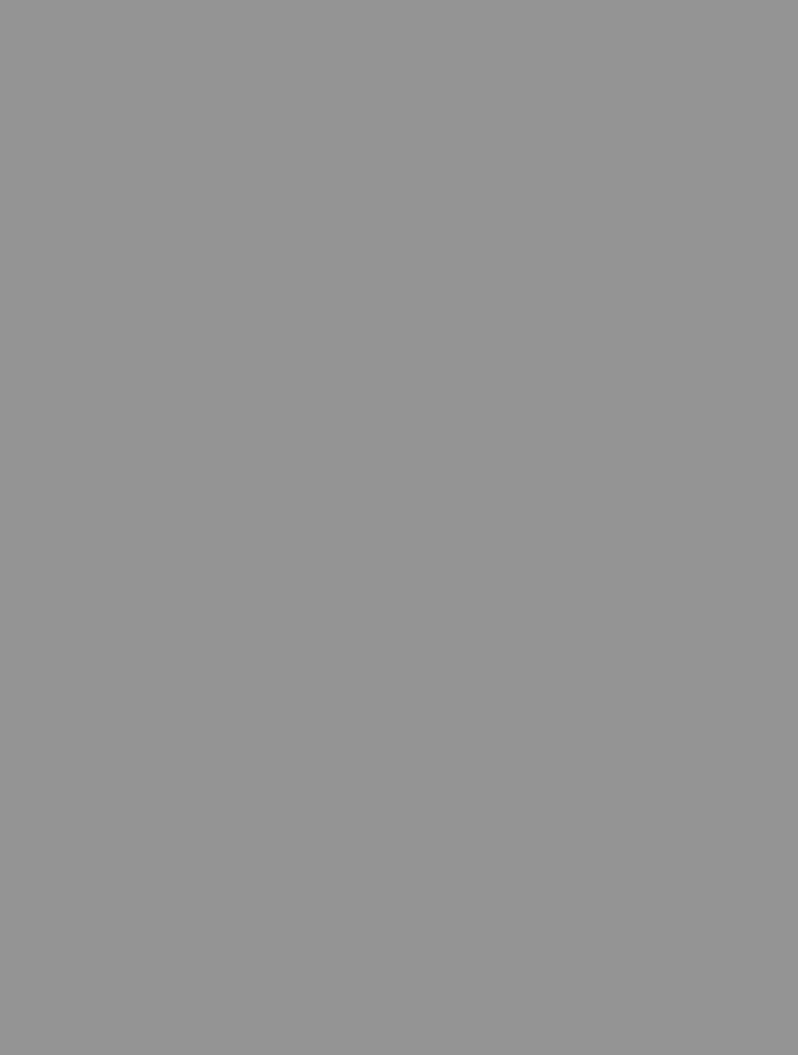 large-grey large-grey